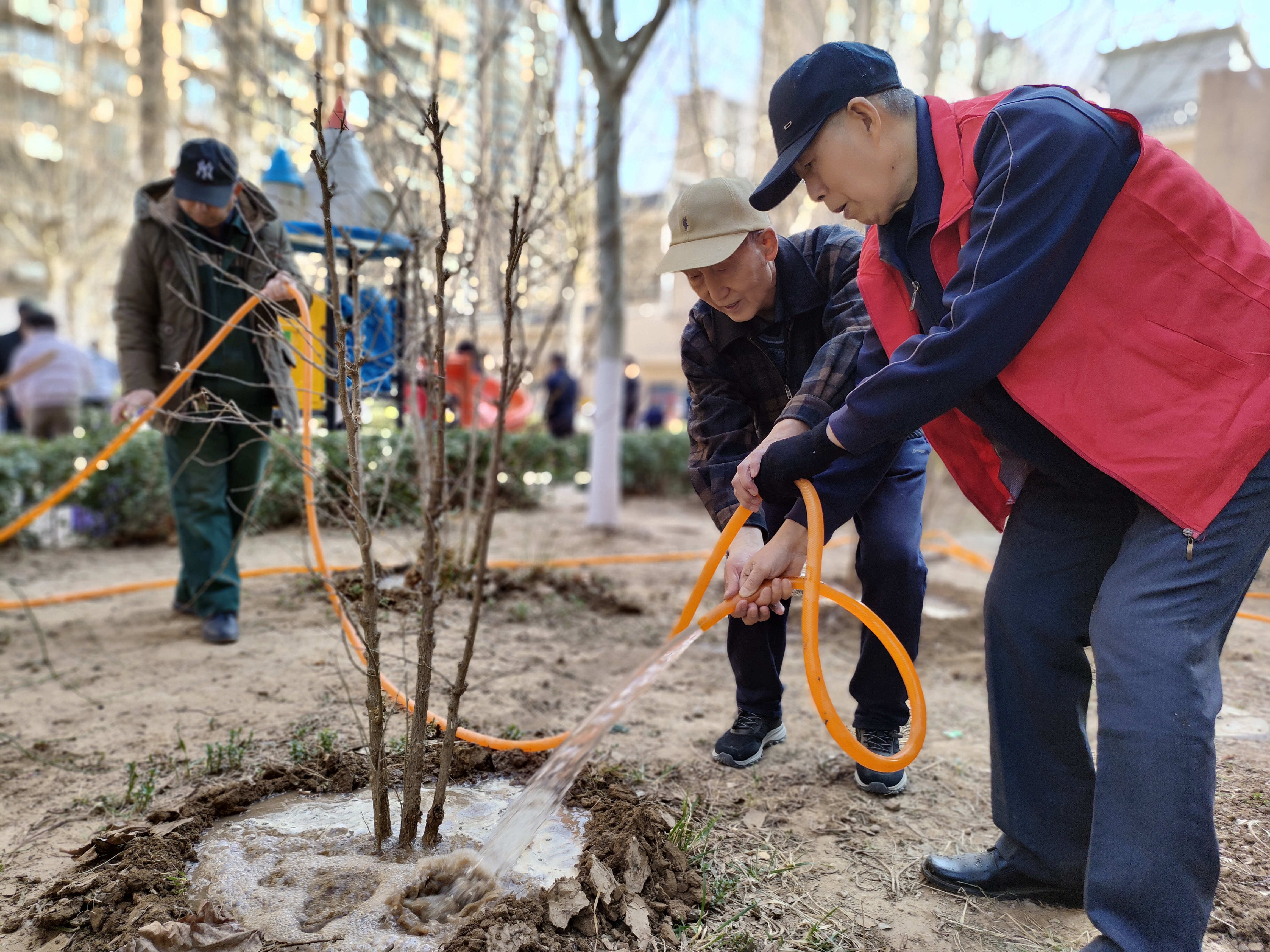 和美睦鄰+ | 隆泰物業(yè)綠色家園植樹節(jié)活動精彩有你(圖3)